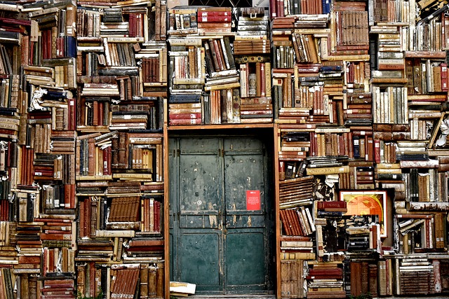 titolo immagine